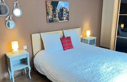 Gite Edelweiss à Eguisheim - Foto 27