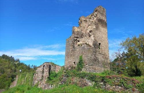 Burg Coraidelstein - Foto 38