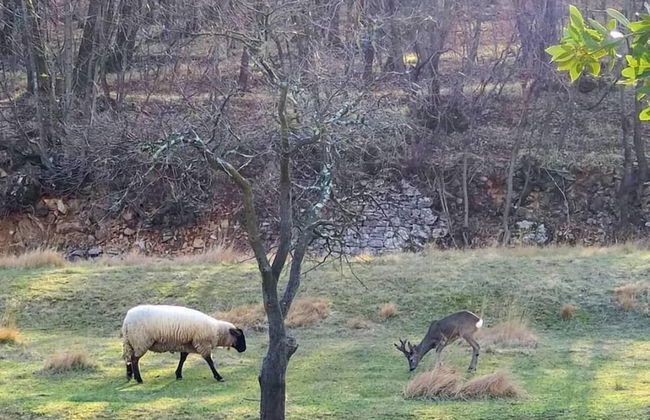 Agriturismo Radovic - Photo 9