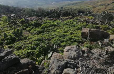 la Tana di Luna - Foto 16