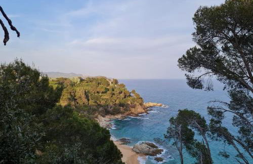 Apartment with garden and sea view Santa Cristina Blanes - Foto 54