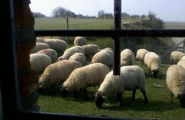 Cabane de douanier en baie du Mont Saint Michel hébergement insolite - Foto 47