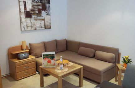 Bichlhof Bärfra Ferienwohnung Am Brunnen - Foto 9