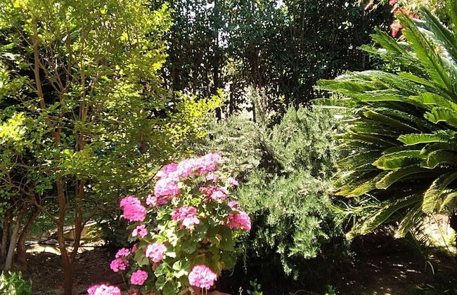 Villa Serenity House of an Elegant Immaculate Luxury Authentic Relaxing Space - Foto 67