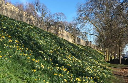 Central York Apartment - Skeldergate YO1 - Foto 23