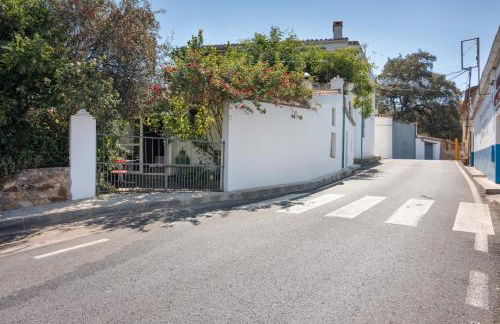 La Rana Verde de Abajo - Foto 21