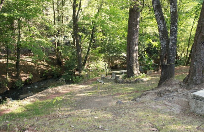 Country House In The Woods With River - Foto 21