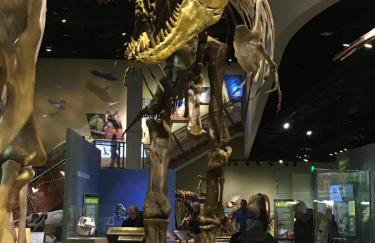 FIFA, Universal Kids, PGA, Pets, Remote Work - Foto 31