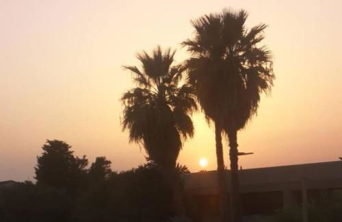 L'oasi di Angela, CIN IT11163C2000Q5074 - Foto 1