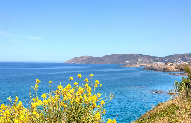 Palmiers I - Foto 22