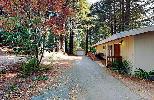 Wagging Woods - Foto 24