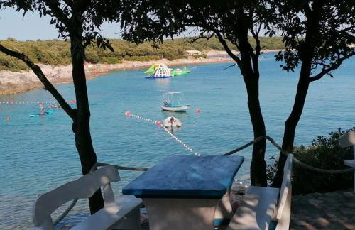 Apartmenthaus Viktoria - Foto 14