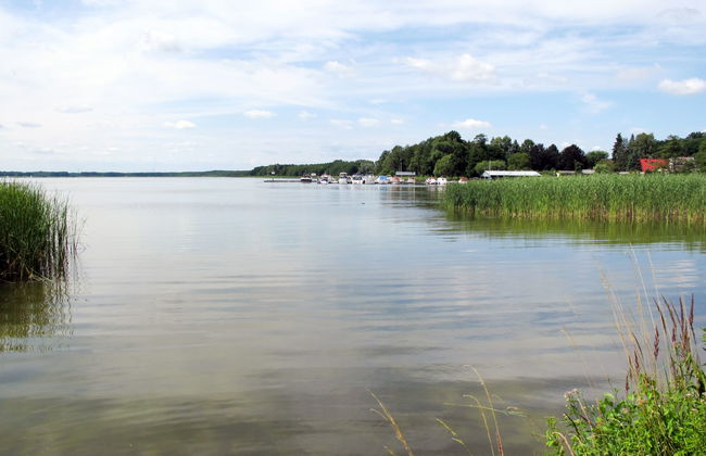 Zum Stolpseefischer - Foto 15