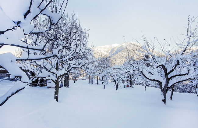 Untererhof - Foto 19