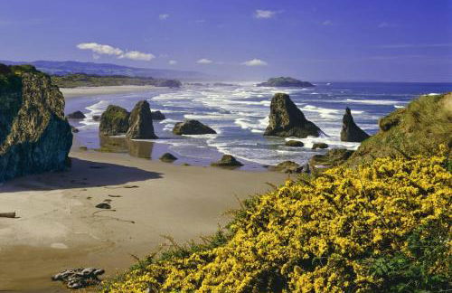 The Lake Cabin - Foto 48