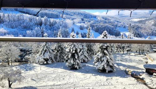 Lumineux 2 pièces vue montagne au pied des pistes avec parking privé - Foto 2