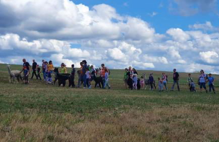 Lana Salta Alpakas - Gemütliche Ferienwohnungen auf dem Bauernhof - Photo 13