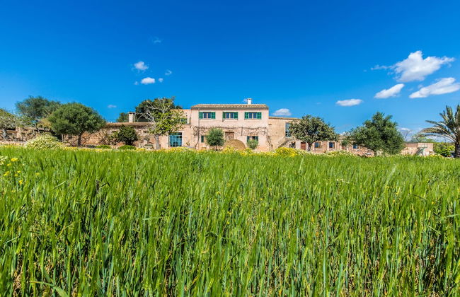 Finca Agroturismo Sa Cova den Borino - Foto 1