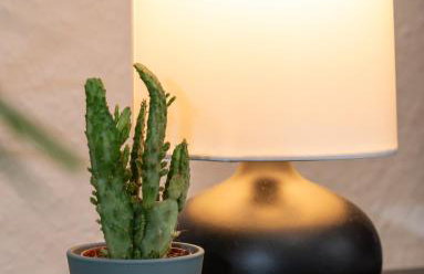 Stilvolles Apartment im Essener Stadtkern - Photo 4