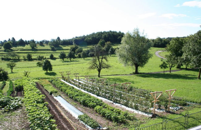 Agriturismo Florandonole - Foto 43