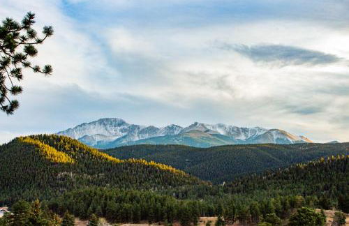 Big Bear Cabin - Foto 21