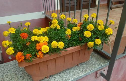 La casa rossa nel Monferrato a Moncucco Torinese - Foto 51