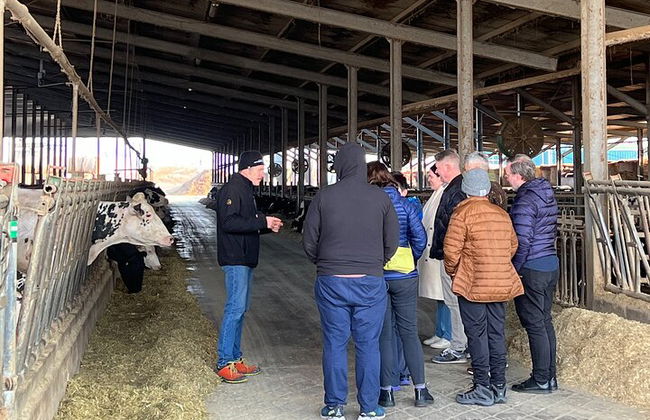 Parmigiano, Balsamic and Ferrari Flavors of Emilia Romagna - Photo 4