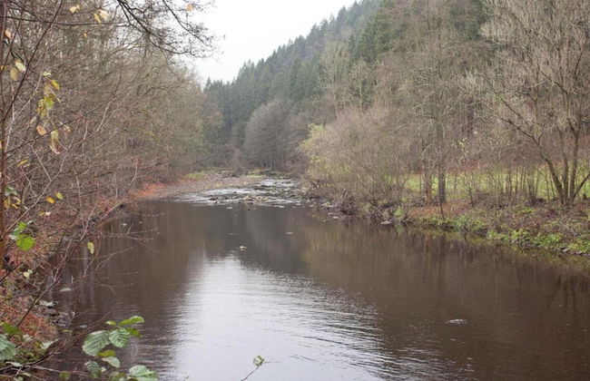 Sunny Escape in Borstendorf - Foto 35