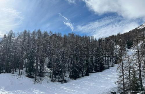 Résidence Albane, T3 entièrement refait - Foto 24