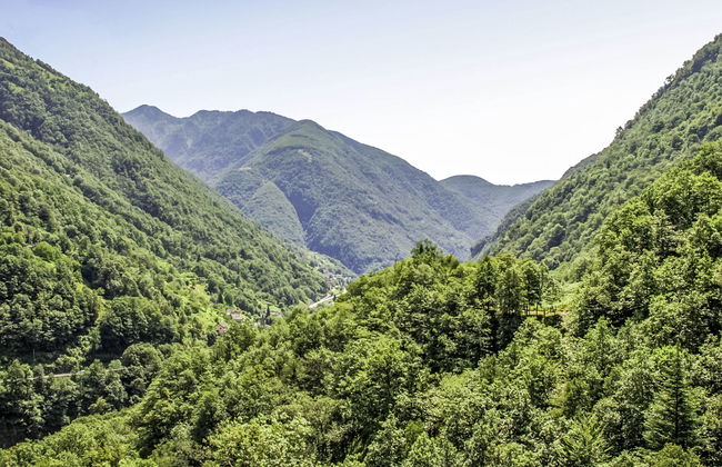 La Formighera - Foto 38