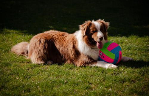 Cetinale Apartments - Foto 50