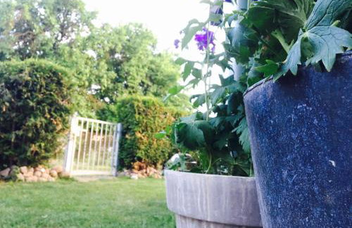 Apartmenthaus Lütt Meer - Foto 79