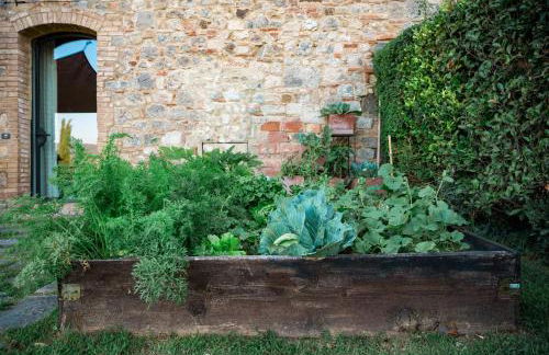 canonica 43 - Foto 25