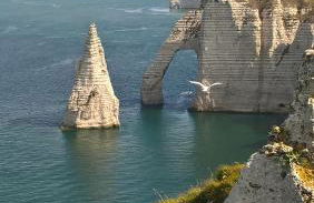 Charmante petite Villa sur Deauville Trouville-sur-Mer - Photo 35