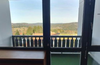 Two Apartaments Almberg - Mitterdorf-Mitterfirmiansreut - Foto 7