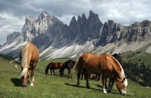 Apartments Dolomites "Mantingerhof" - Photo 42