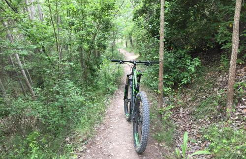 Masia La Safranera - Foto 8