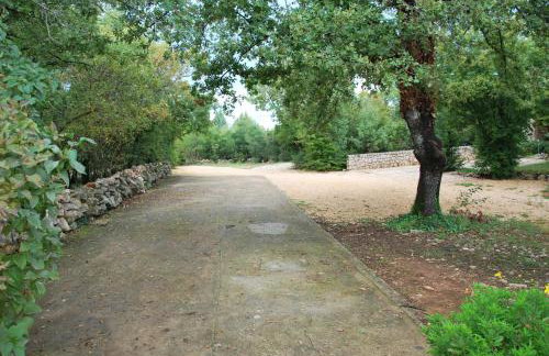 Apartments Barbara - Photo 65