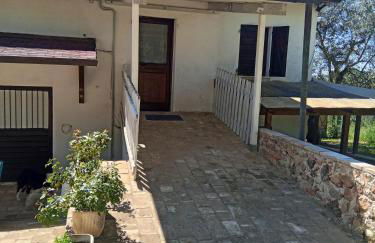 Uliveto Benedetti - Foto 3