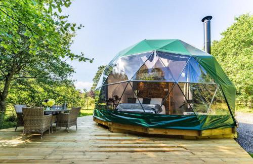 Woodland dome - Foto 31