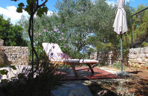 Apartments FRAGOLINA - Photo 38