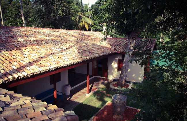 The Mugatiya - Foto 38