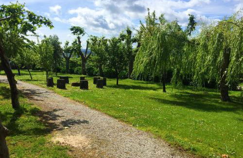 Welcoming villa near Penafiel with pool - Foto 8