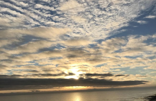 Foresters Cottage - Foto 33