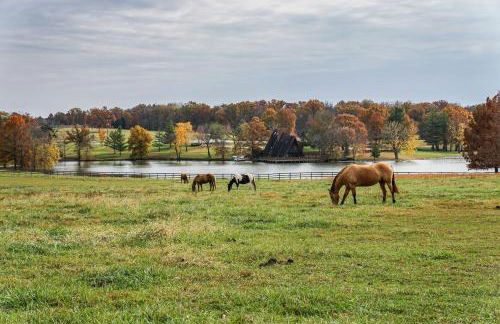 Lakefront Vacation Rental with Patio and Grill! - Foto 29