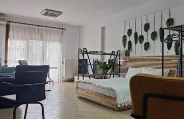 Φρίντα στο κέντρο της Ορεστιάδας - Foto 3