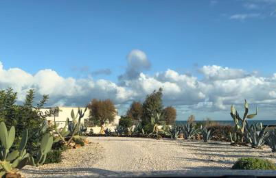 Masseria Ostuni Mare Agri Resort - Foto 79