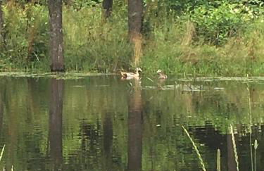 Altmarkblick - Foto 15