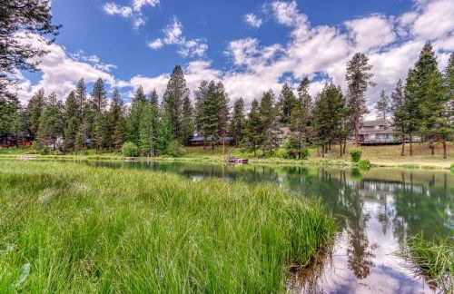 Merganser Memories - Foto 32