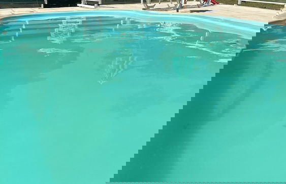 Haras Trevo de Ferro - Photo 25